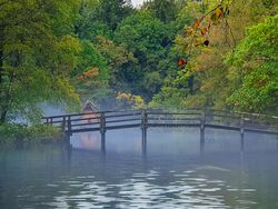 Brücke mit Teich