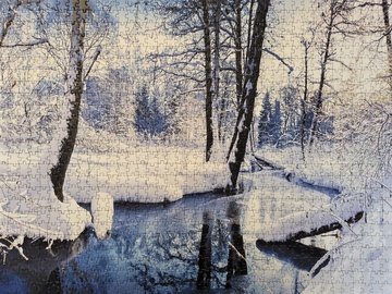 Bezaubernde Flusslandschaft im Winterwald